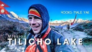 Solo Trek to TILICHO LAKE - Part 1: Way to the base camp - Nepal Motovlog EP7