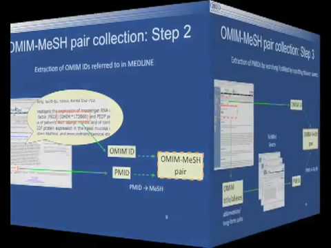 Functional profiling of OMIM data using MeSH vocabulary -JSBi2008-