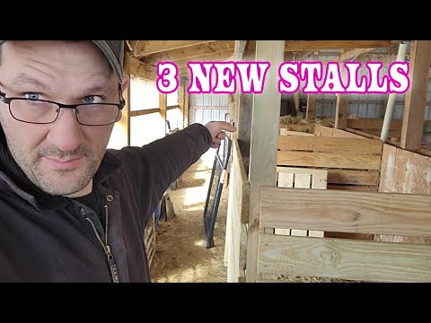 Building New Goat Stalls