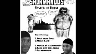 Salamandos - Magic Land
