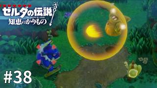 ゼルダの伝説 知恵のかりもの #38【大怪獣バトル勃発！】
