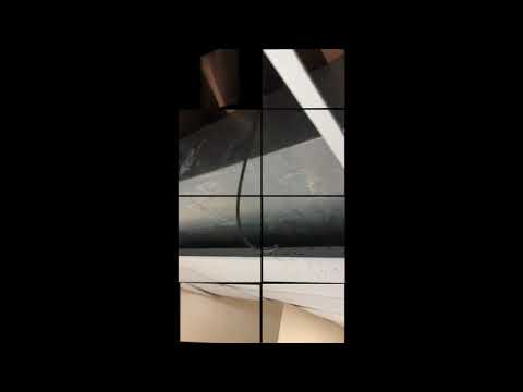 Raccoon Breaks Into Basement in Howell, NJ