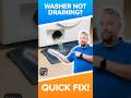 Washer Not Draining Clean The Drain Pump Filter Like This