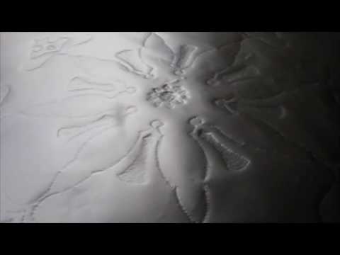 Hawalayya Kteer by Zaed Naes