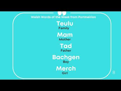 Milbourne Lodge - Welsh Words of the Week - Family