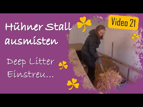 Hühner 21 - Stall ausmisten nach Mauser - Welches Einstreu? Stroh & Milben?