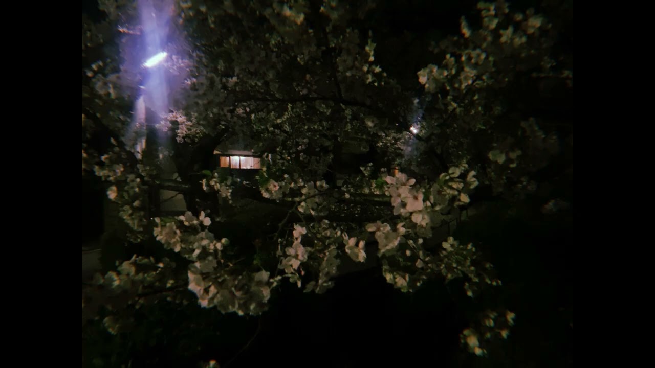 【弾き語り】夏の桜 / 黒川侑司 feat. Galileo Galilei (acoustic)