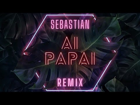 Anitta Feat Mc Danny & Hitmaker - AI PAPAI (SEBASTIAN REMIX)