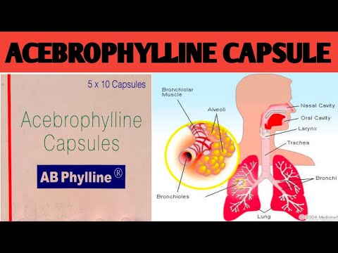 Acebrophylline capsules ip, strength: 100 mg