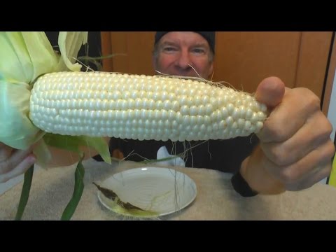Eating Process of Raw Corn