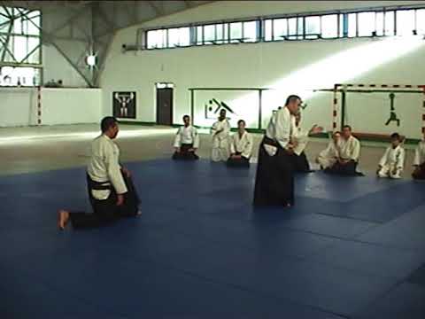 Aikido Annaba Stage Wilko Vriesman Sensei # 5