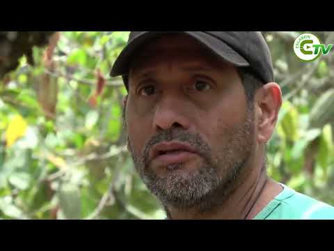 AGRICULTORES DE LA PROVINCIA DEL GUAYAS RECINTO SAN ANTONIO 1