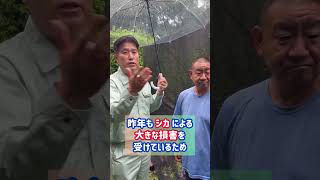 6/24シカによる鳥獣被害対策の現場へ
