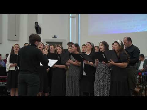 D0285 Tine-ma în mâna Ta