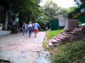 Я тебе построю дом 