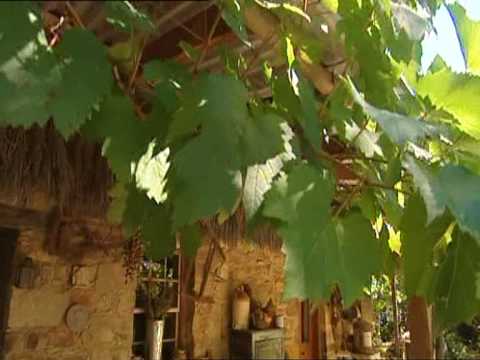 Lavandula on Getaways