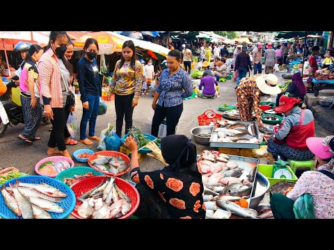 Popular Cambodian street food @Kandal Market | Pork, Chicken, Fish, Vegetables, Fruit & More