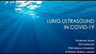 Lung Ultrasound in COVID-19