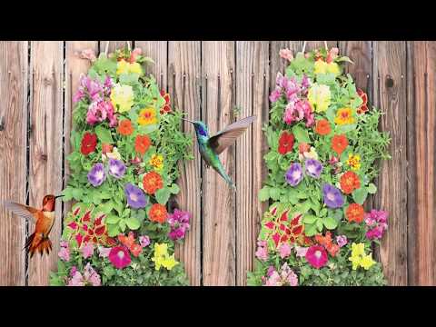 Hanging Flower Bag Instructional Video - Out Of Box Setup HD