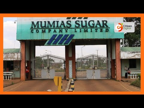 Farmers and workers at Mumias accuse management of vandalism