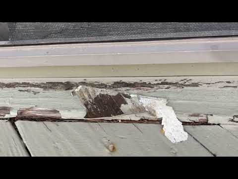 Trailing Across the Deck Are Ants in Seaside...