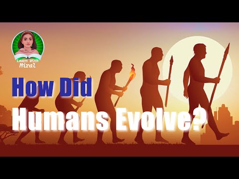 The Evolution of Homo Sapiens #homosapiens #humanevolution