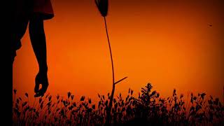 Download lagu Untuk Perempuan Yang Sedang Dalam Pelukan Cover SMVLL mp3