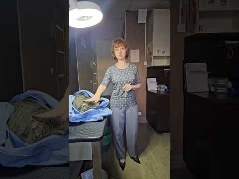 Отзыв о работе стоматологов