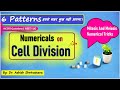 Numericals On Cell Division Mitosis And Meiosis Numerical Tricks NCERT Questions NEET UG