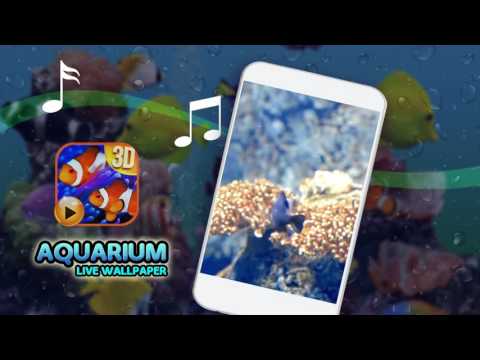 Aquarium Live Wallpaper Video