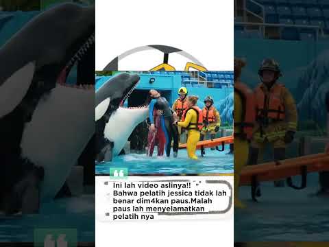 Ini Video Aslinya!!! Jessica  dengan Pausnya #viral #jessica