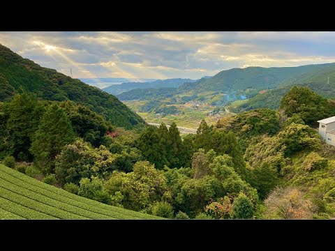 「長崎県 東彼杵町 - 四季物語 」- 癒しのヒーリング動画