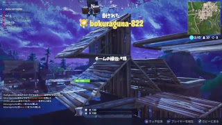 フォートナイト　友達と喧嘩したので声は無いです。…