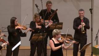 Telemann; Holland Baroque Society - Concert in D gr. TWV 53:D6 video