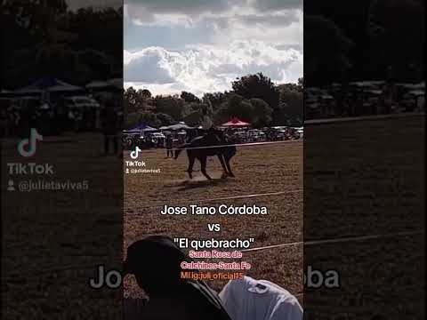 (24/05/2026)Santa Rosa de calchines-Sta Fe✨José "Tano"Córdoba vs "El quebracho"🌹Mí ig:juli_oficial15