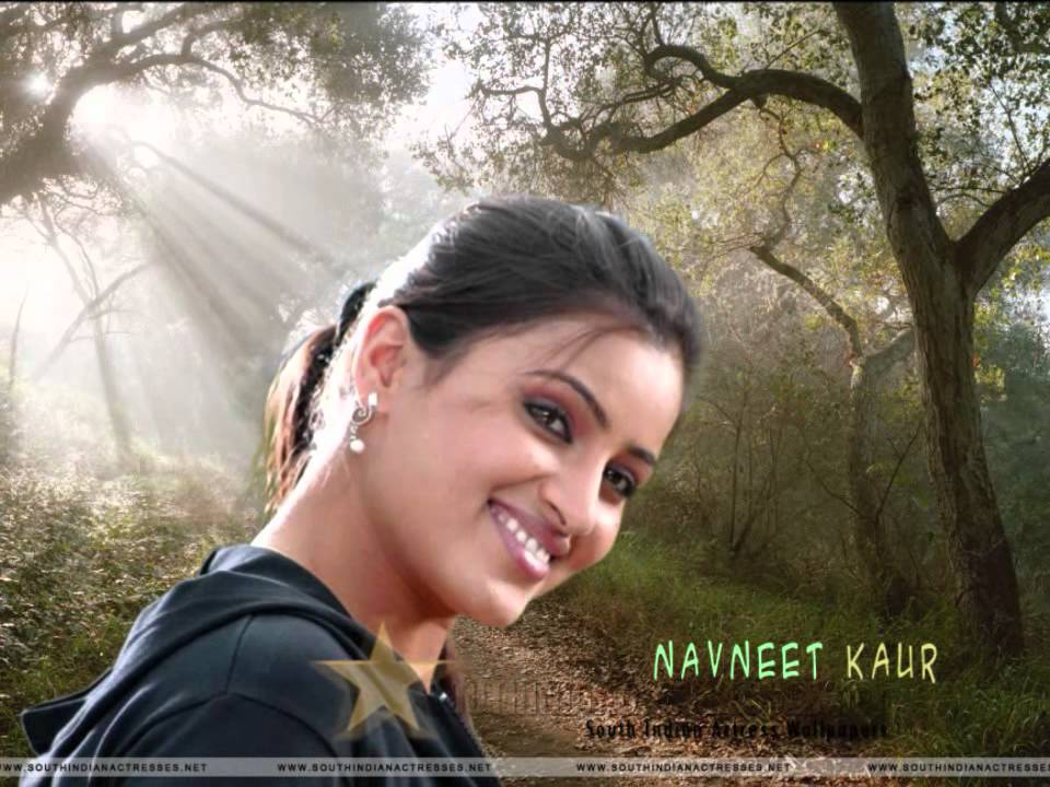 Dil Ka To Kya Haal Hai Lyrics  | Dil Mera Dhadkan Teri | Navneet Kaur, Rajesh Tandon | Anuradha Paudwal, Nitin Mukesh Chand Mathur | Vaishnav Deva