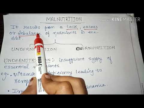 download lagu mp3 mp4 Food Definition, download lagu Food Definition gratis, unduh video klip Food Definition