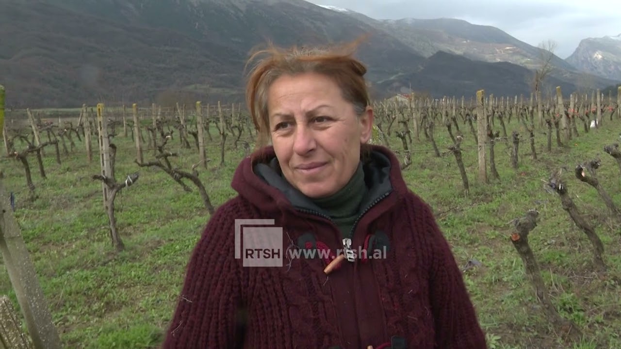 Bujqësia dhe dashuria për tokën – Besnik dhe Durime Murataj nga Piskova të përkushtuar në vreshtari