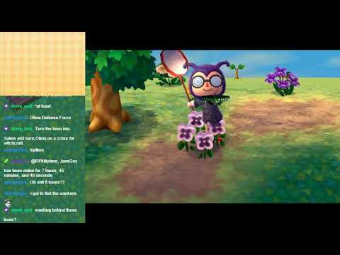 Animal Crossing New Leaf Week 4 - Hide and Seek