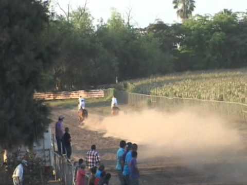 Secretaria vs Hereje