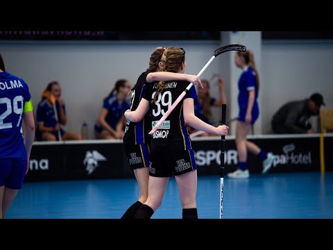 T18: EräViikingit - Tiikerit/Blackbirds 17.4.2024 maalikooste