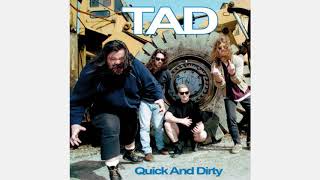 TAD - Quick and Dirty 2018