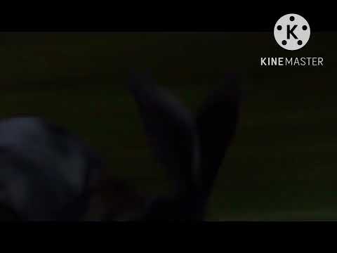 “Garfield The Cat” Part 3 - Garfield Comes To Life/Main Title