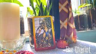 The Chariot Tarot Card | In a Love Reading