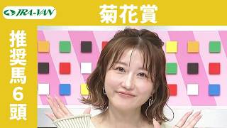 【菊花賞 2026】JRA公式データを深掘！推奨馬発表！/ JRA-VAN【公式】