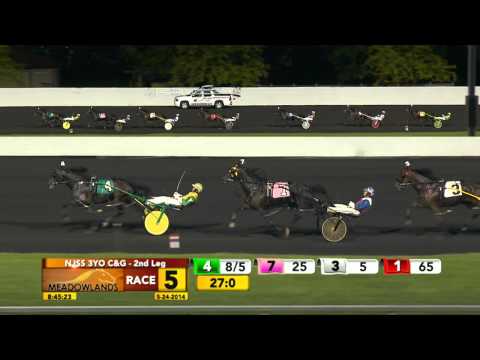 New Jersey Sire Stakes - Doo Wop Hanover - May 24, 2014