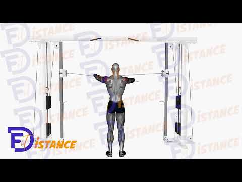 Exercice Élévation latérale des deltoïdes postérieurs avec câble