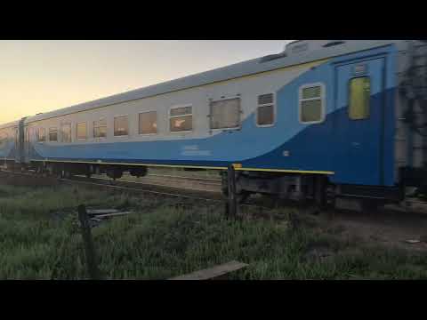 Tren 563 a Junin pasando por Agote Partido de Mercedes Buenos Aires 🇦🇷 11ene26 