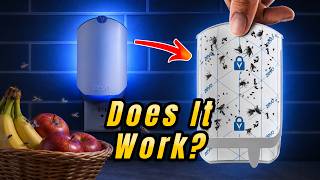 Zevo Flying Insect Trap Review – Does It Actually Work