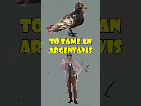 Ark Argentavis🦅